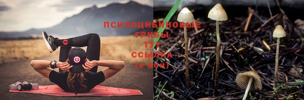 таблы Арсеньев