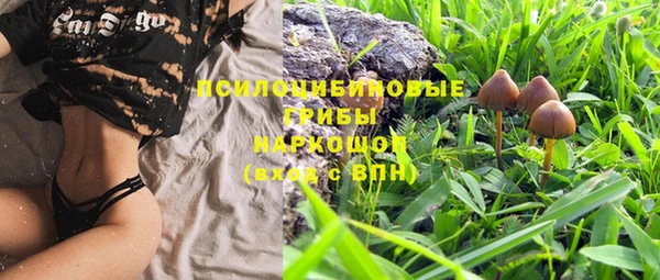 не бодяженный Пересвет