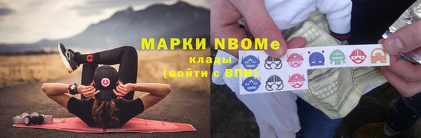 тгк Алзамай