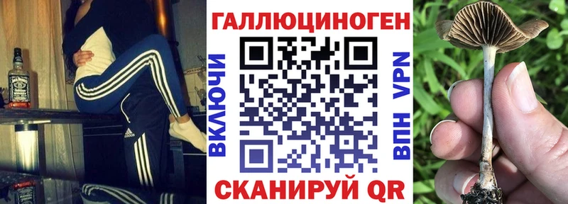 Псилоцибиновые грибы Magic Shrooms  Старый Крым 